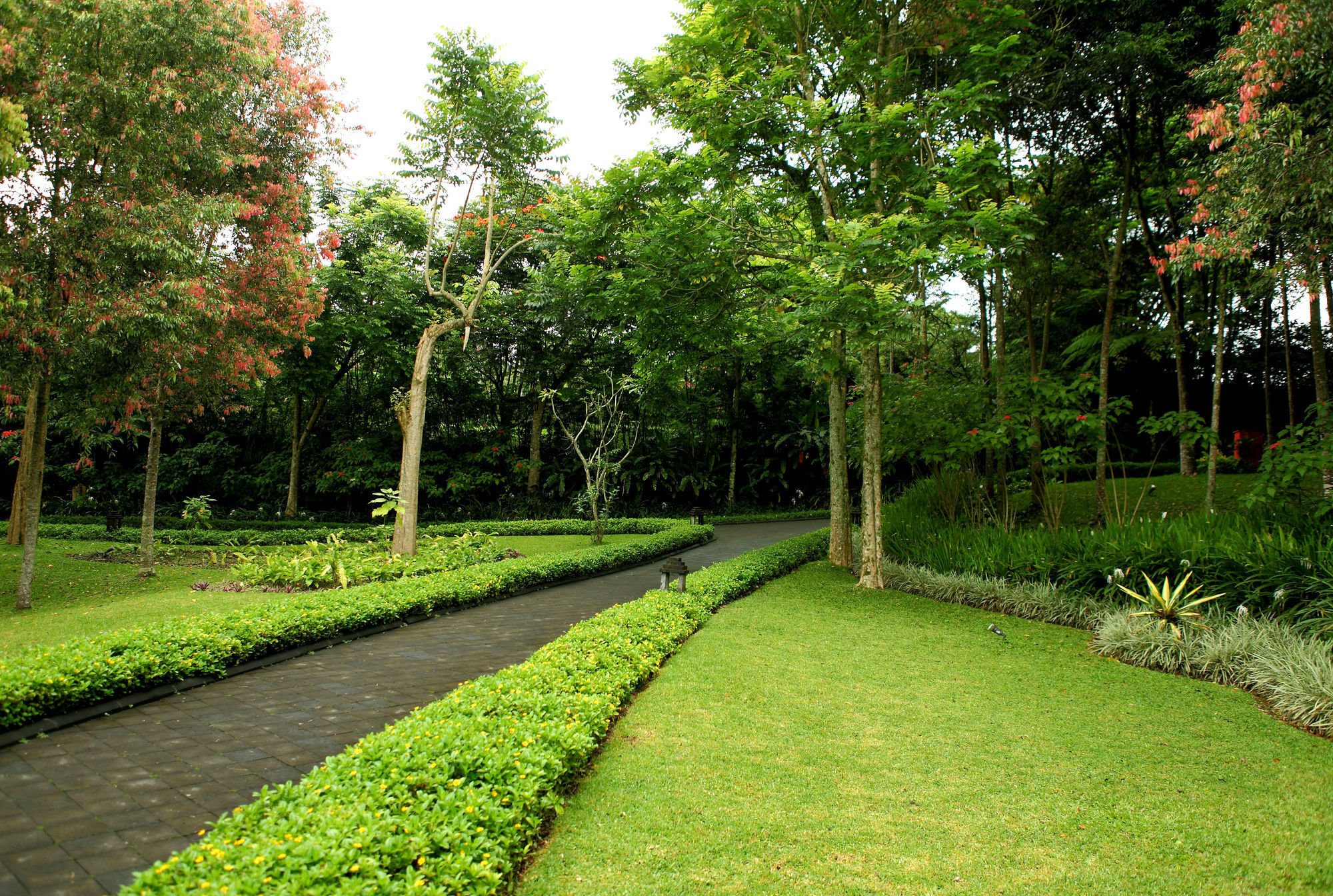 Villa Puri Candikuning Baturiti Exterior photo
